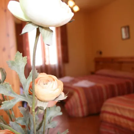 Hotel Il Cortile 3*